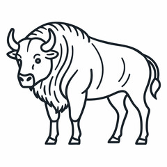 Simple a Bison line art vector white background