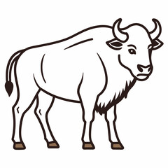 Simple a Bison line art vector white background