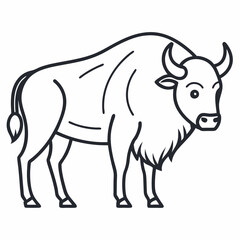Simple a Bison line art vector white background