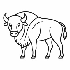 Simple a Bison line art vector white background