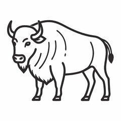 Simple a Bison line art vector white background