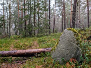 Stone and trees