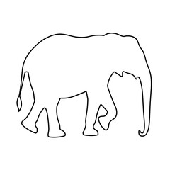 Elephant Drawing | Elephant Outline | Hand Drawn Elephant