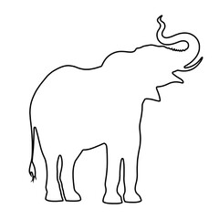 Elephant Drawing | Elephant Outline | Hand Drawn Elephant