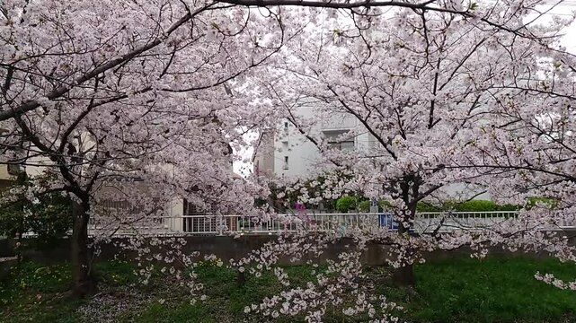 日本寺院風景