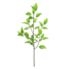 Fototapeta premium Fresh Green Leafy Branch Isolated on White Isolated on transparent background
