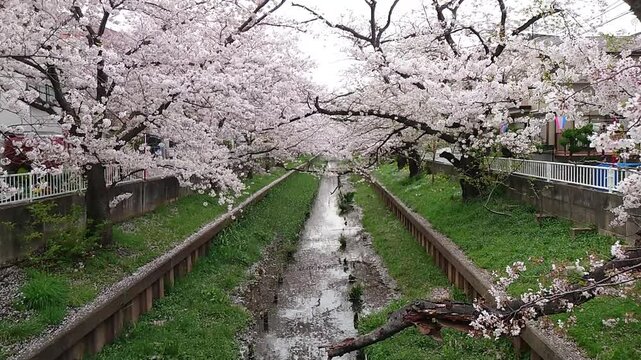 日本寺院風景