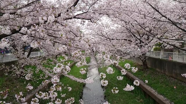 日本寺院風景