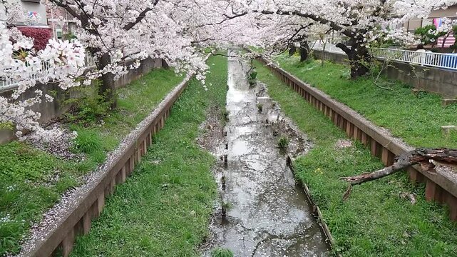 日本寺院風景