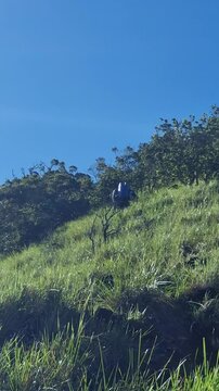  Campistas suben una empinada monta&ntilde;a en un d&iacute;a perfectamente soleado en la comarca Gnobe Bugle en panam&aacute;. 