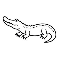 crocodile 