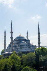 Obraz premium Landscape of the beautiful Blue Mosque in Istanbul surrounded by green trees.