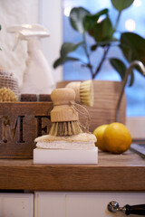 Eco-style cleaning, wooden brushes with natural bristles and loofah sponges for washing dishes