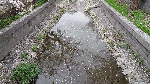 日本寺院風景