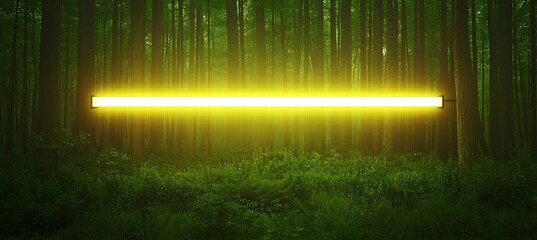 Digital Nature Restoration Meter Interface