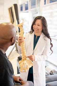 Doctor showing patient spine skeleton