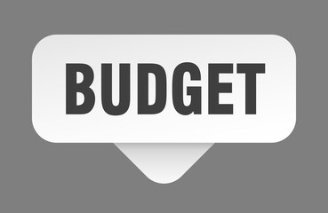 budget sticker. budget sign isolated on gray background