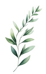 Design clean, minimal rosemary clipart with simple sprigs and green tones, isolated on a white background