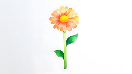 Obraz premium Orange Flower with Green Leaves on White Background in Watercolor Style