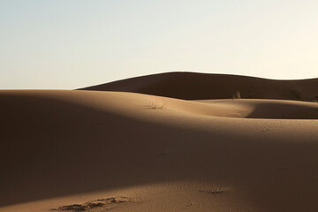 Sahara dunes, near Morocco, North Africa