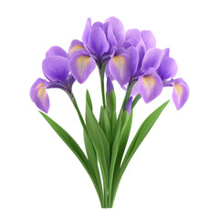 3D icon of A bunch of Iris isolated on transparency background