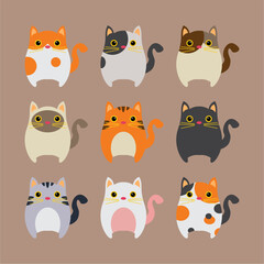 Assorted cute cats in vector