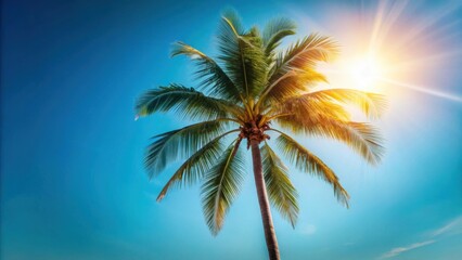 Tropical Palm Tree Silhouetted Against a Vivid Blue Sky with Bright Sun