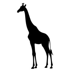 Giraffe Drawing | Giraffe Illustration | Giraffe Silhouette