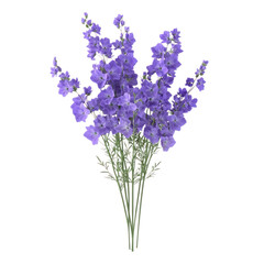 Fototapeta premium 3D icon of A bouquet of Larkspur isolated on transparency background