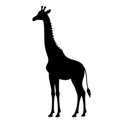 Giraffe Drawing | Giraffe Illustration | Giraffe Silhouette