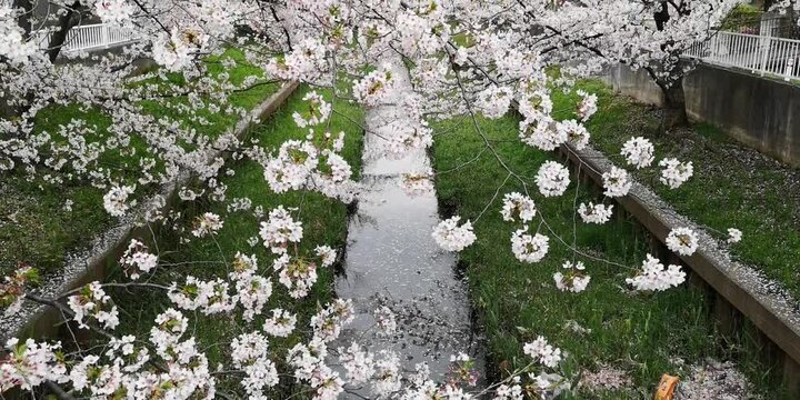 日本寺院風景