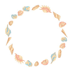 Frame with seashells. Tropical underwater mollusk shells illustration.