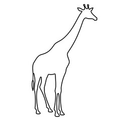Giraffe Clipart | Giraffe Outline | Giraffe Icon