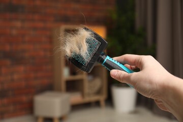 Woman holding grooming brush with pet's hair at home, closeup. Space for text