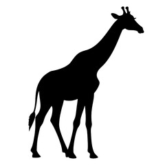 Giraffe Clipart | Giraffe Silhouette | Giraffe Illustration