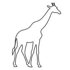 Giraffe Drawing | Giraffe Outline | Hand Drawn Giraffe