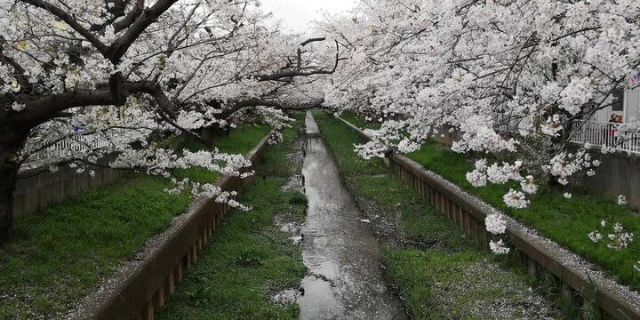 日本寺院風景