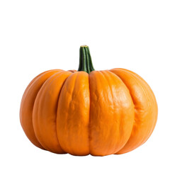 pumpkin isolated on transparent background