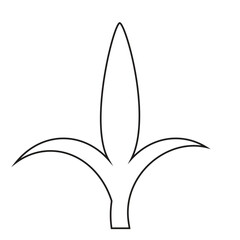 tender leaf, Green leaf, Three leaf , tea leaf , Leaf