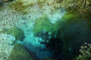 photo of a blue eye in a forest in Albania