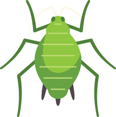 Green aphid insect pest with six legs and antennas crawling on white background