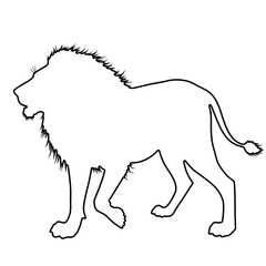Lion Outline | Lion Drawing | Lion Illustration
