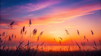 Obraz premium Serene Sunset Over a Misty Meadow with Tall Grasses Silhouetted Against Vibrant Sky