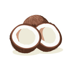 A vector illustration of an open coconut 