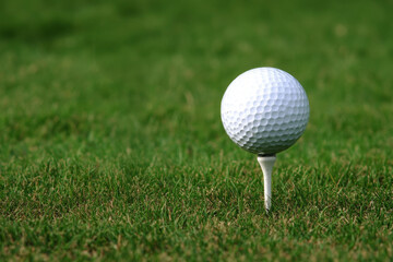 Obraz premium White golf ball on tee in the middle of vibrant green golf course with a blurred natural background