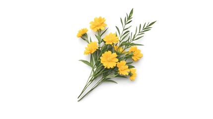 Bright Yellow Flowers with Green Leaves on White Background