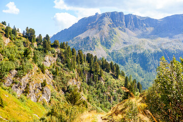 Italian dolomites panorama on a summer day