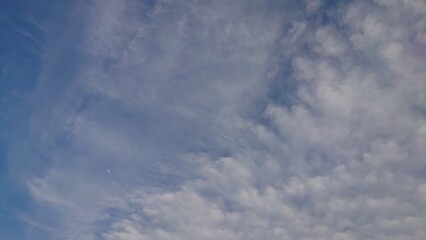 日本の寺院風景