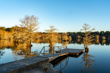 Near Sandy Creek at Lake Steinhagen, Texas