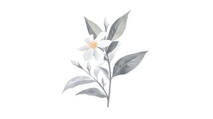 Delicate White Flower with Green Leaves on a Minimalist Background